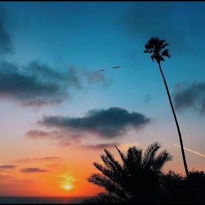 Meet your Posher, Ashlynn